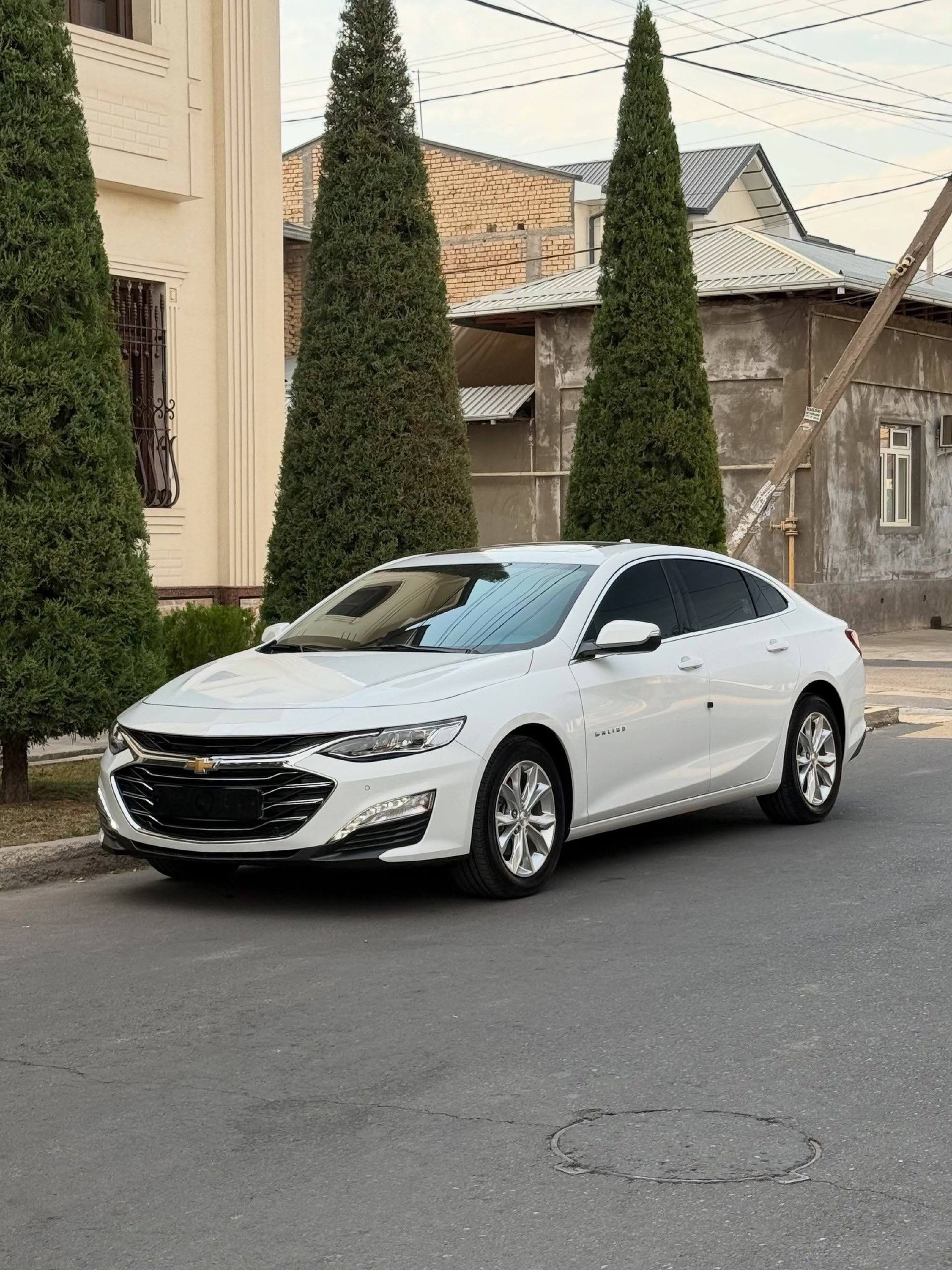 Malibu 2022