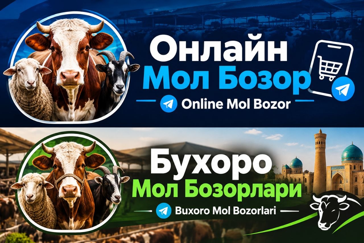 BUXORO CHORVA BOZORI