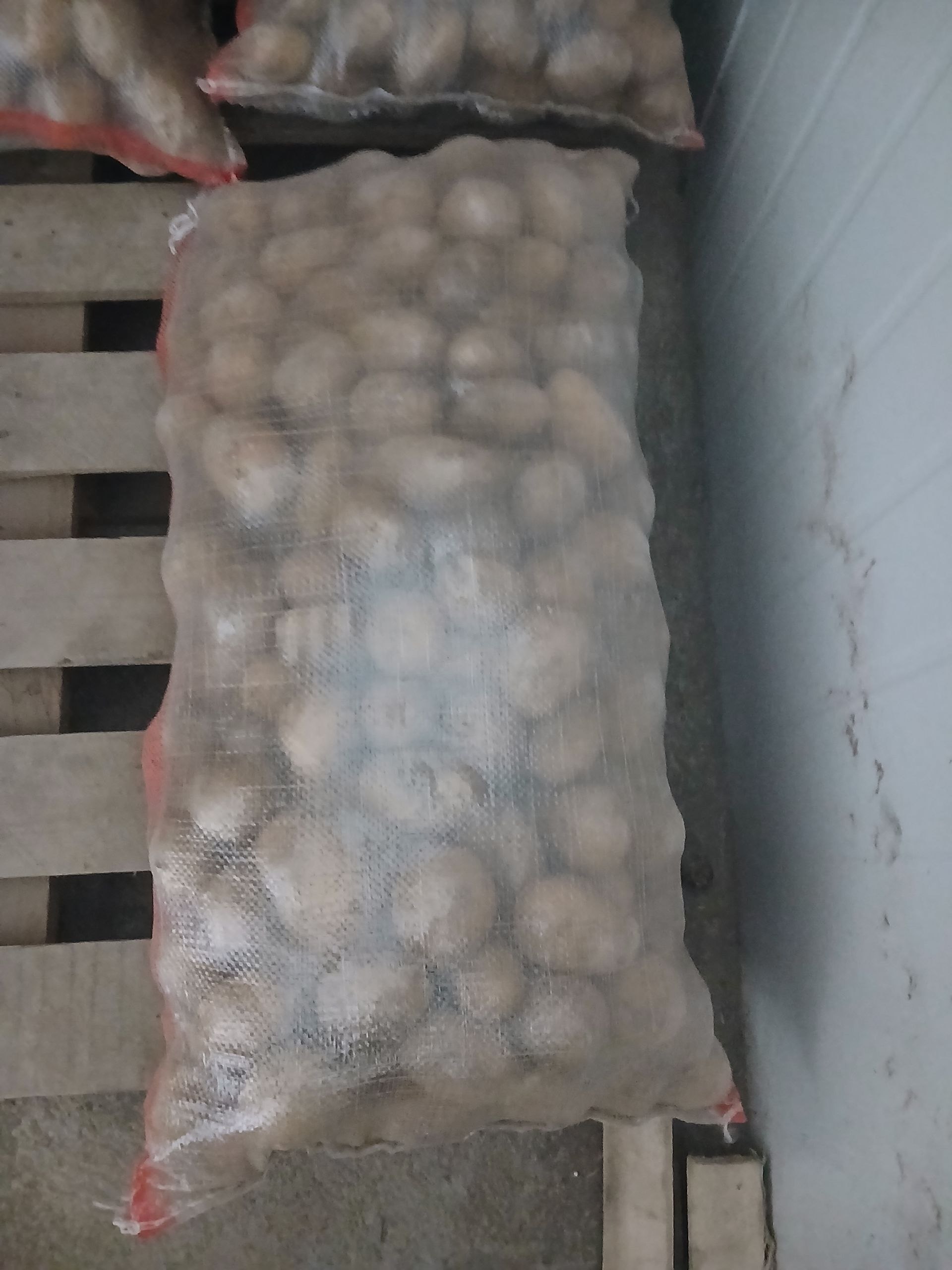 Kartoshka namangan popda