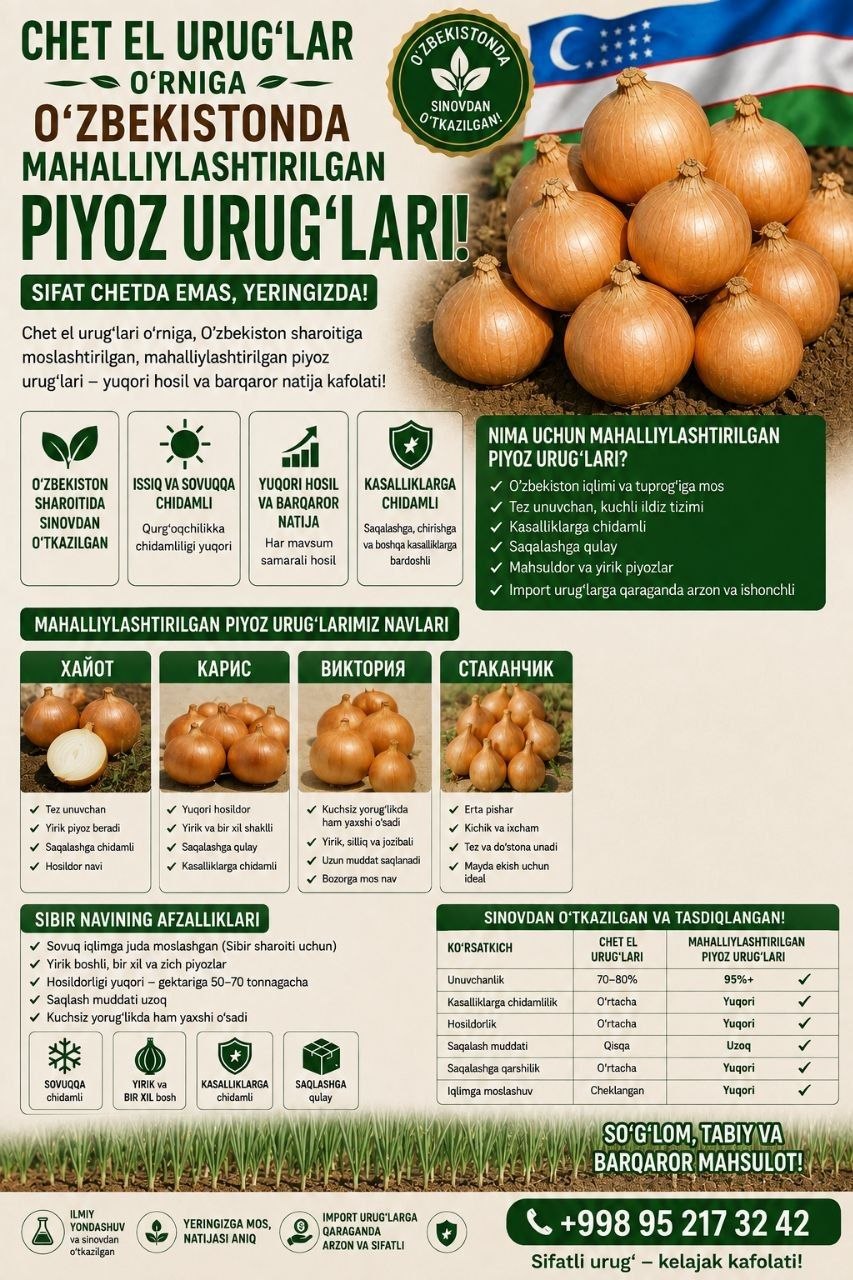 Mahalliylashtirilgan piyoz urug'lari — yuqori hosil