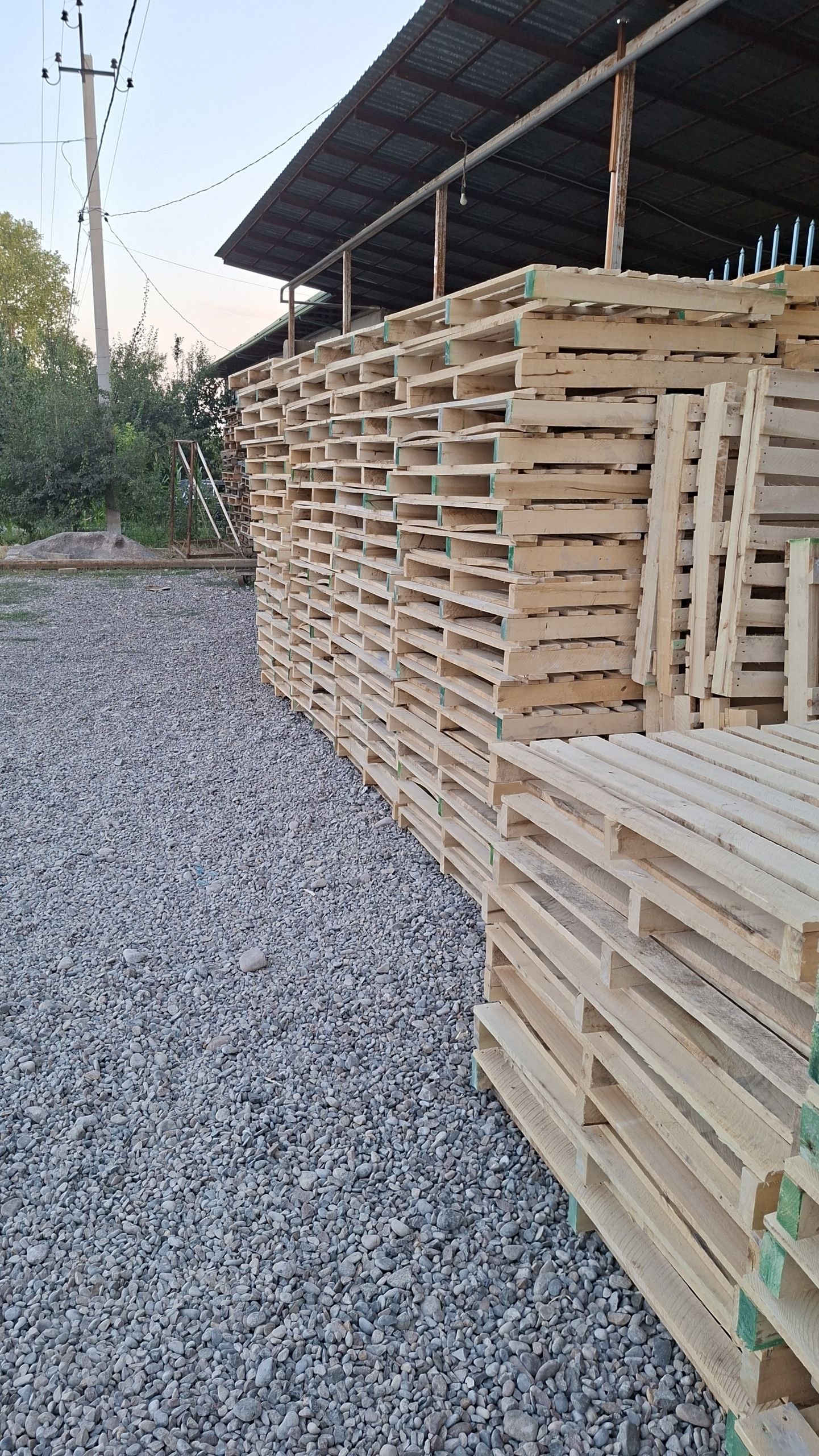 Paddonga 93x113 sm — yaxshi holat