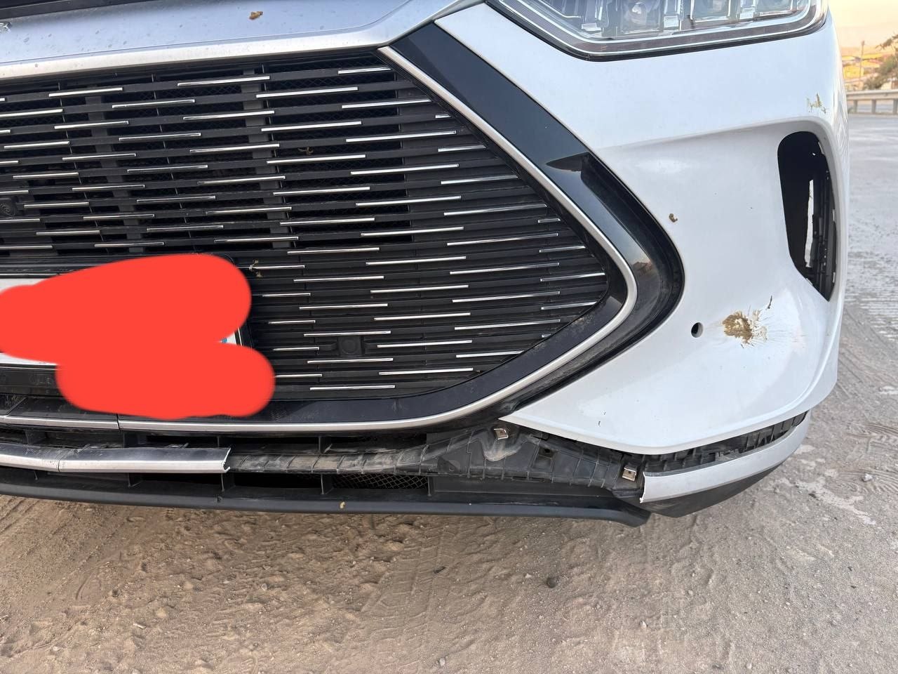 Shuni seriy va yon tarafdagi qora kriloni qora qoshi