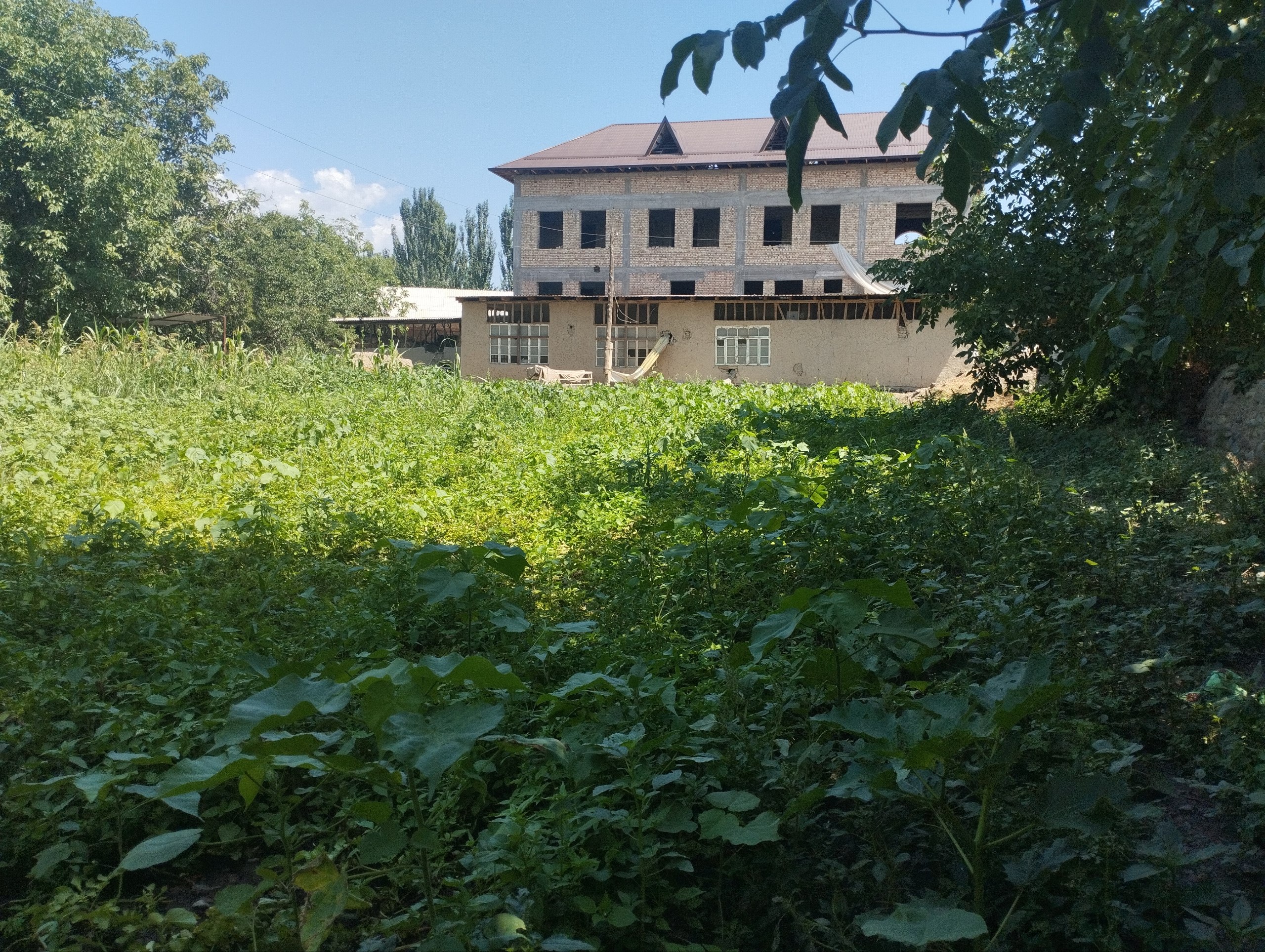 19 sotihli noturar bino — hujjatlari joyida
