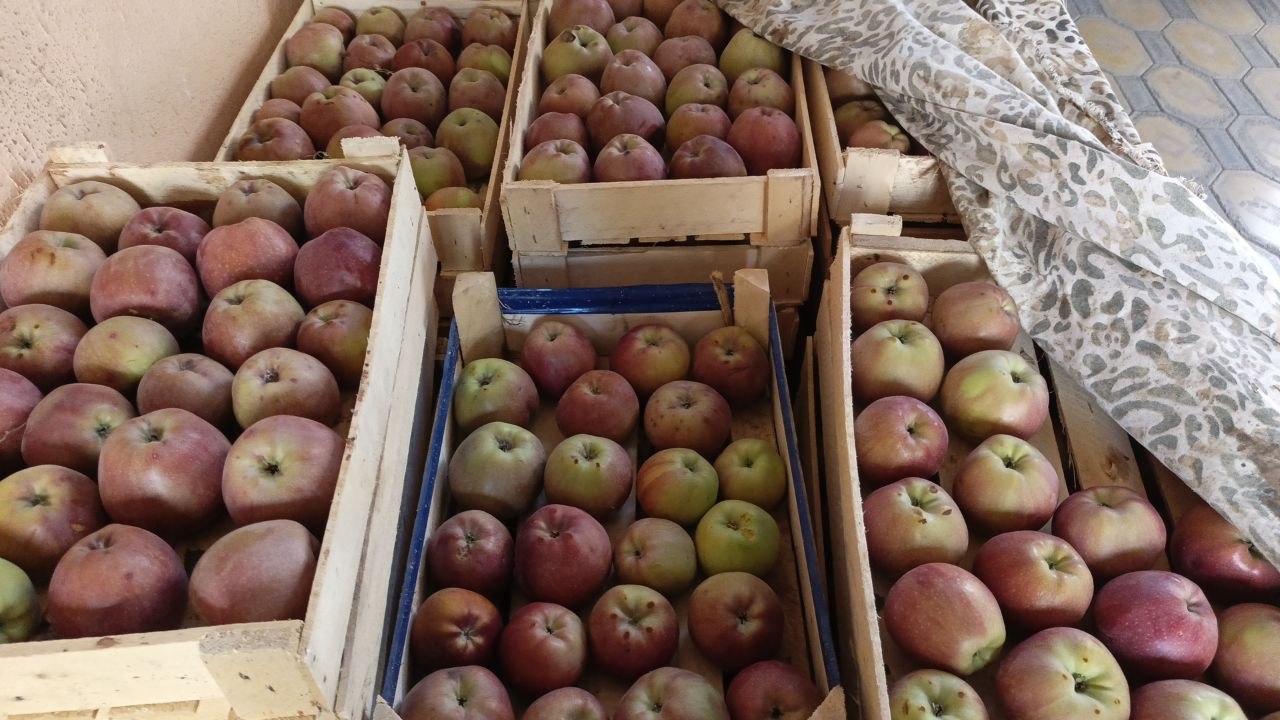 Shu olmadan bor 500kg tayyor uzilgan Chortoq sentirida