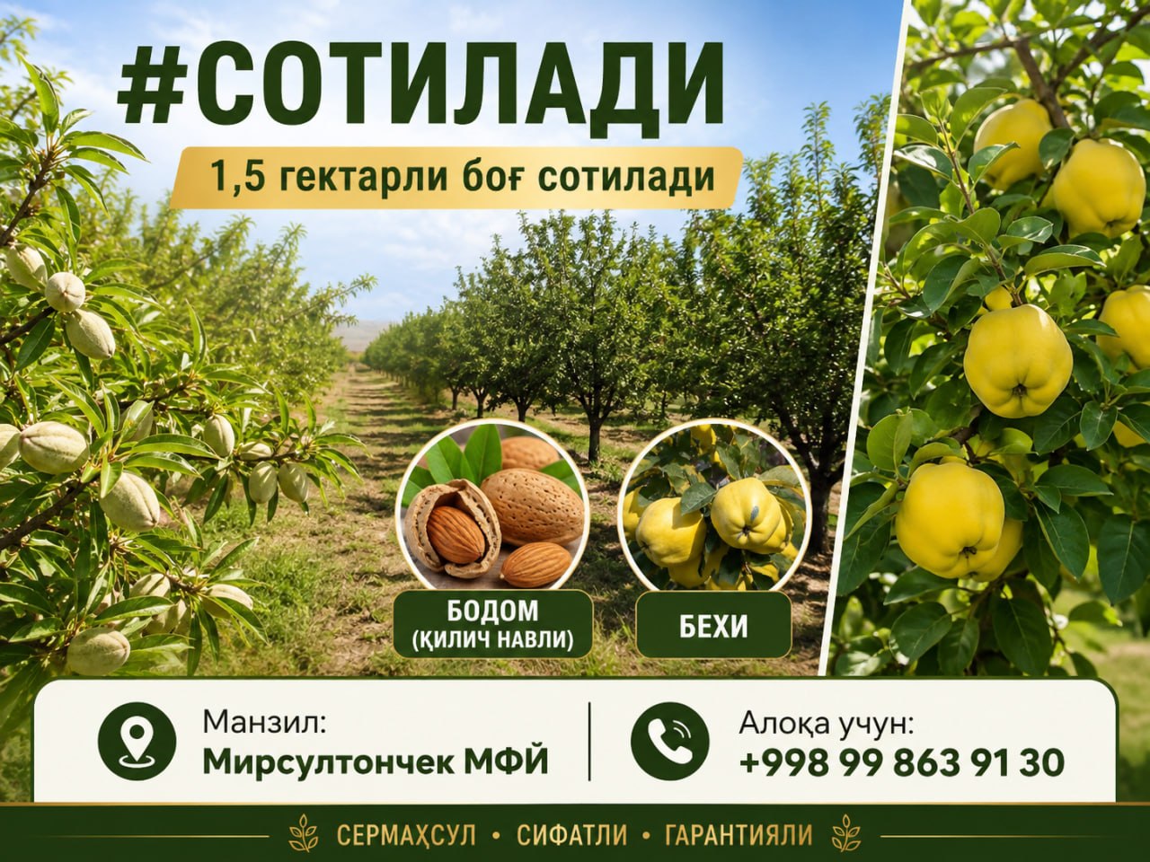 Bodom bog'i — 1,5 gektar