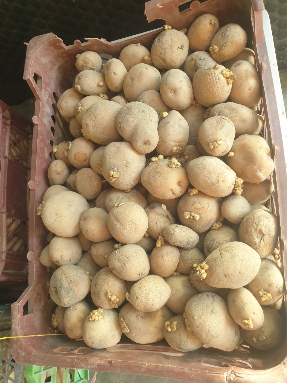 120 kilo sanта — yangi