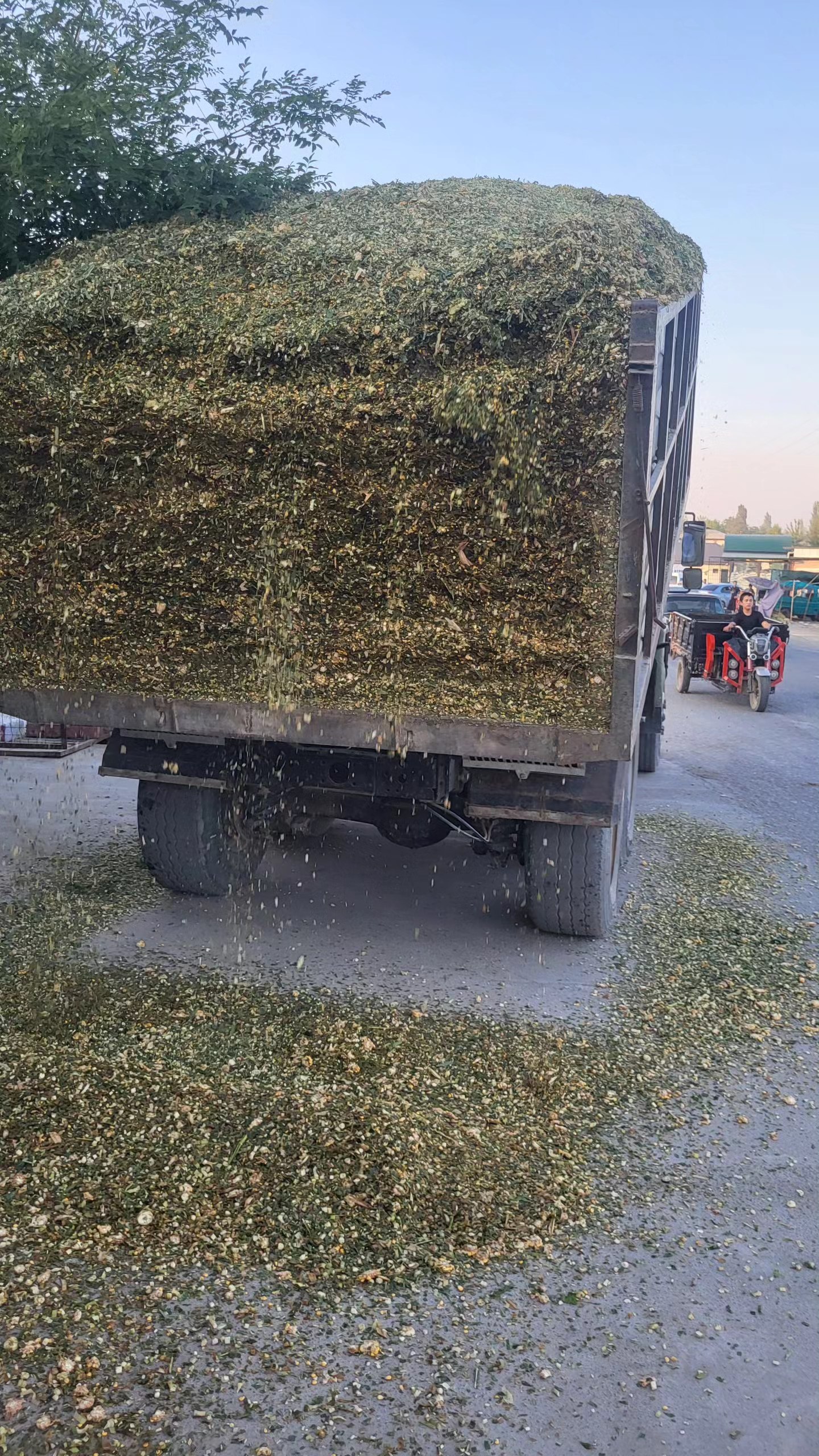 Долик силос
