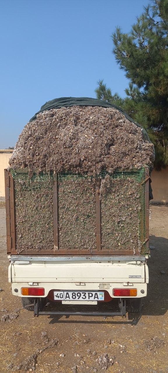 Chigitli puh — 1100 kilo