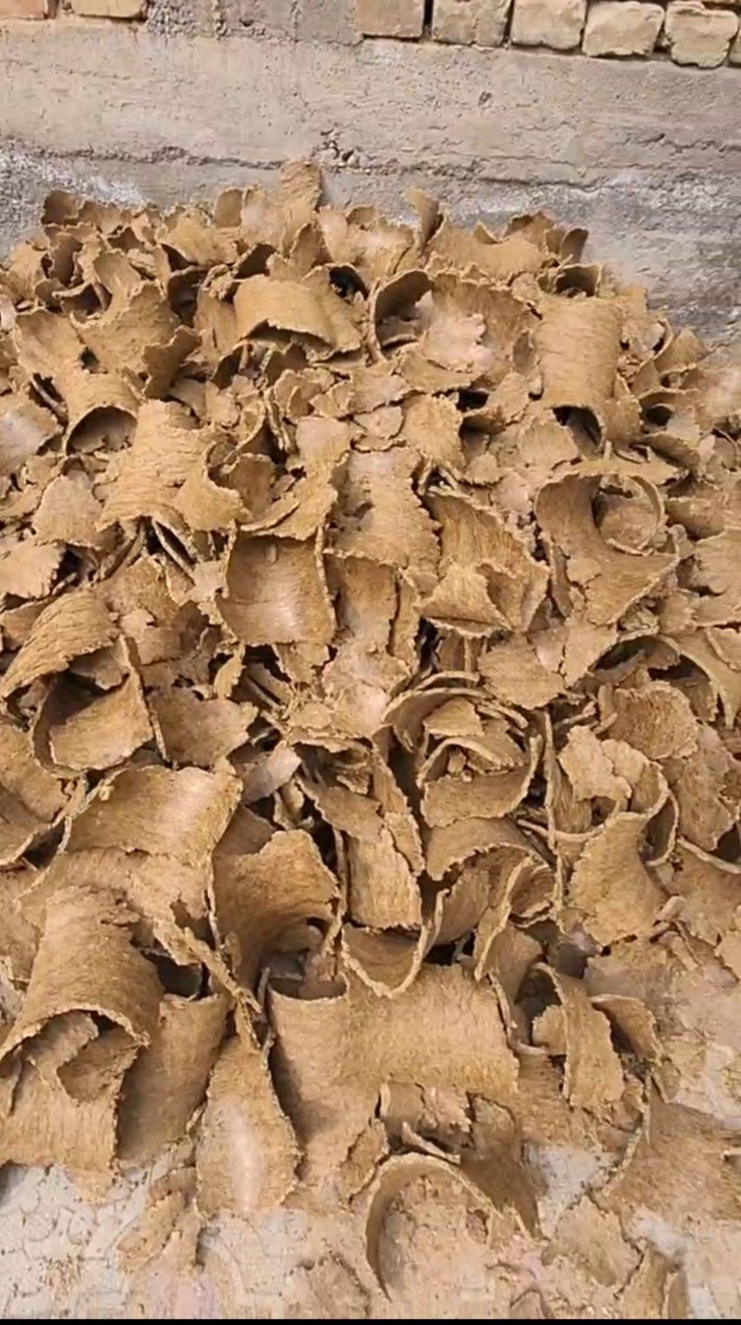 Kunjarа — sifatli mahsulot