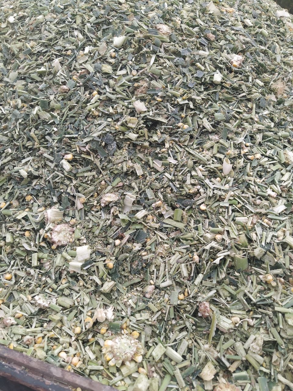 Donlikk silos bor zilda kimga kerak boʻlsa aloqaga