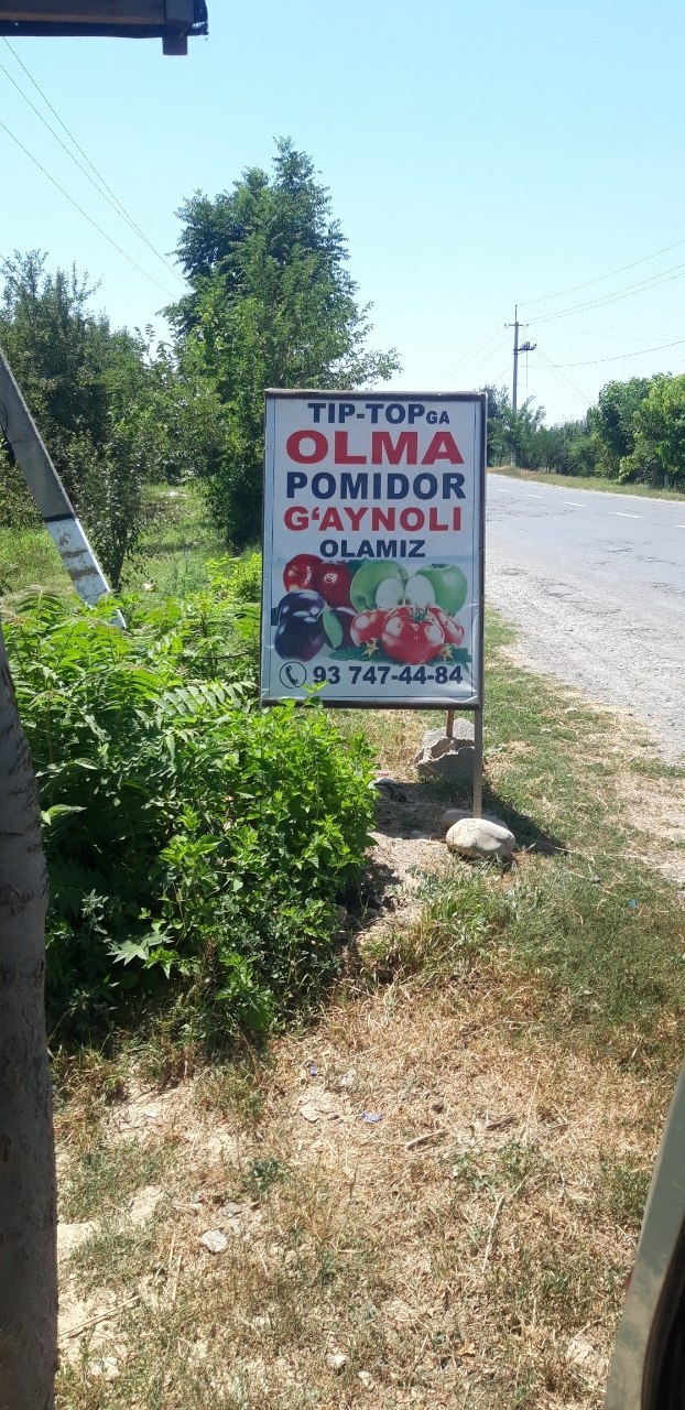Tip topga olma pamidor olamiz