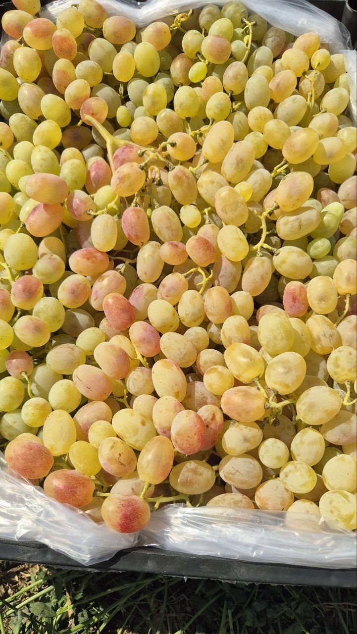 1фура бор сотлади