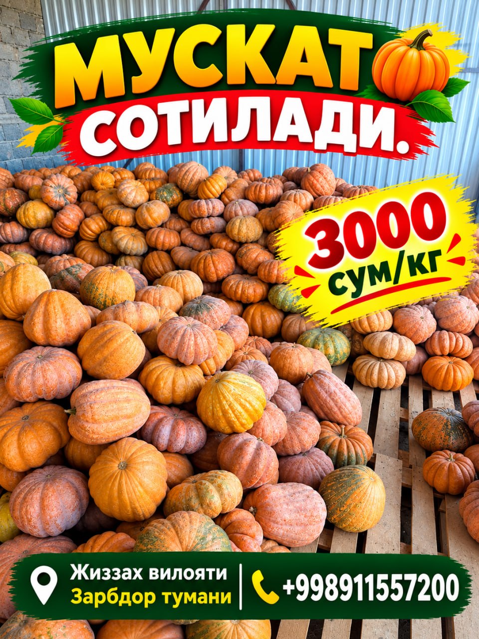 Bu bot haqiqiy emas lekin qovoq — chinakamining o‘zi