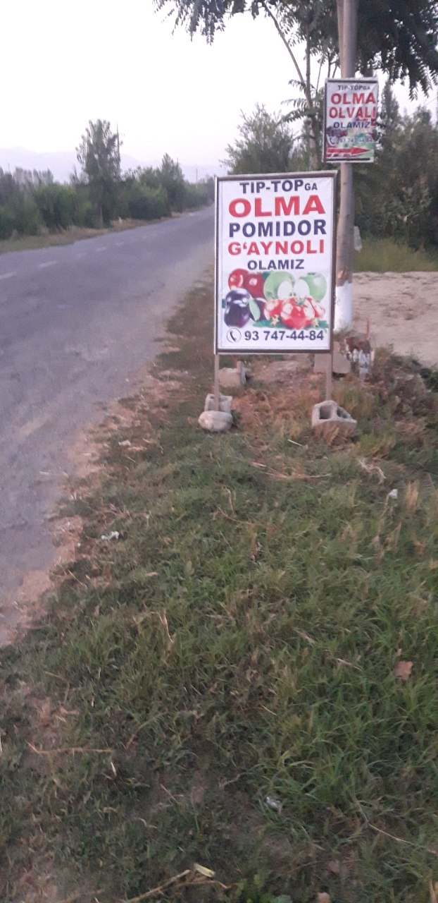 Tip topga olma pamidor olamiz