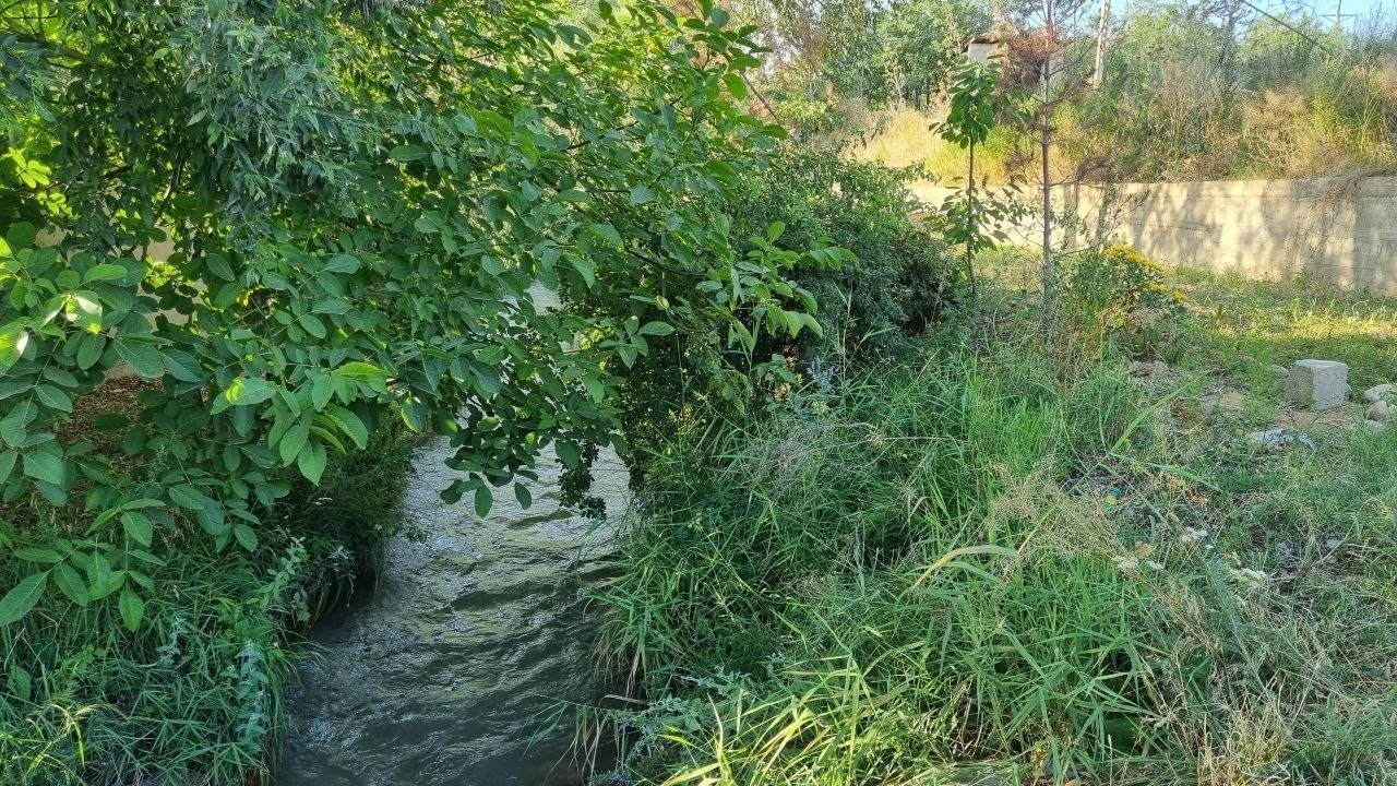 Dacha — 12 sotih, 1 xona, mevali daraxtlar