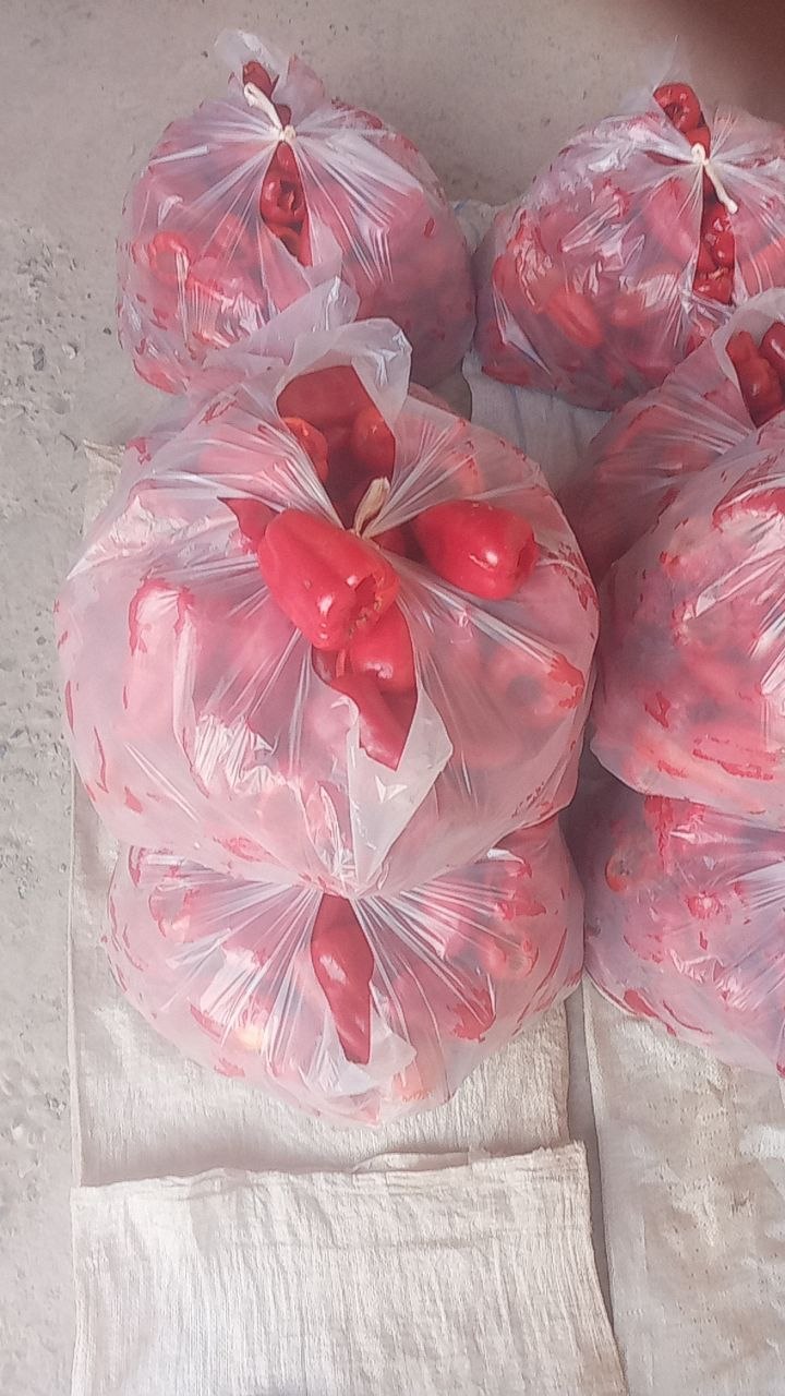 20 dona salafan — sifatli va yangi