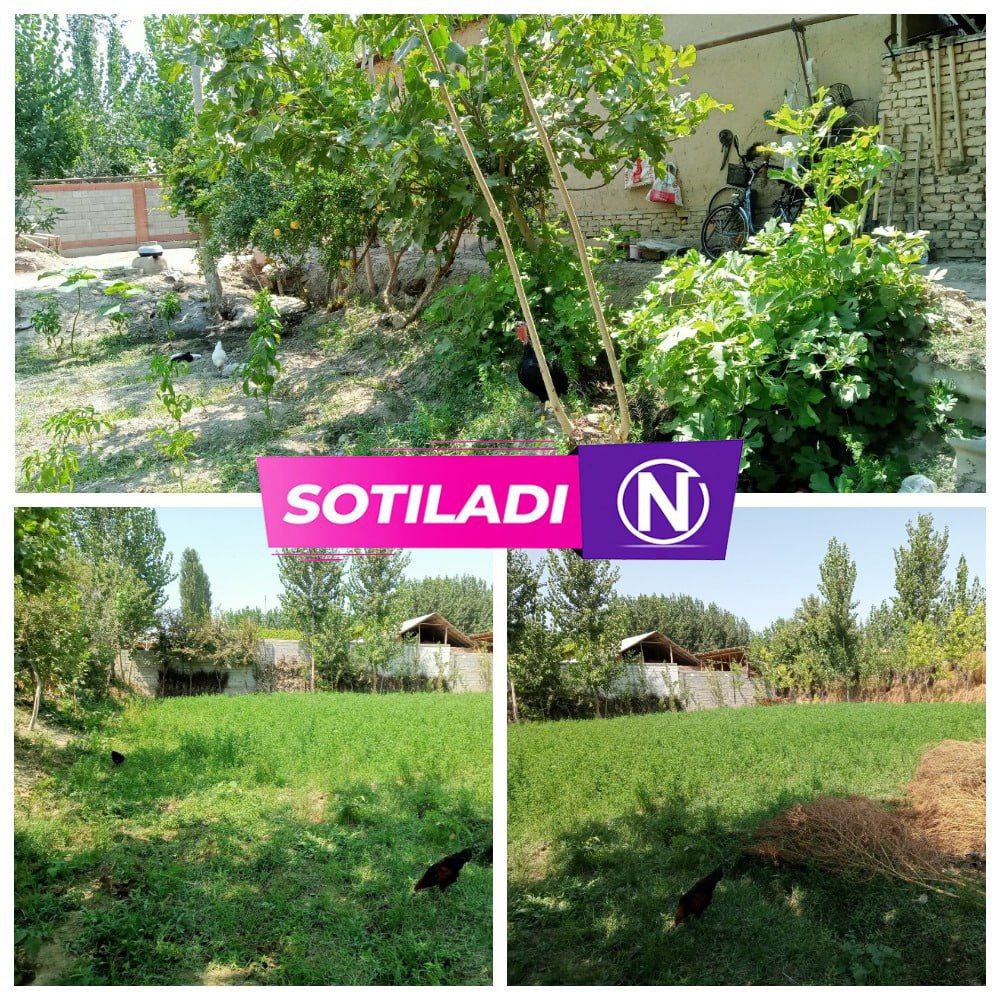 8 sotih quruq yer — hujjatlari joyida