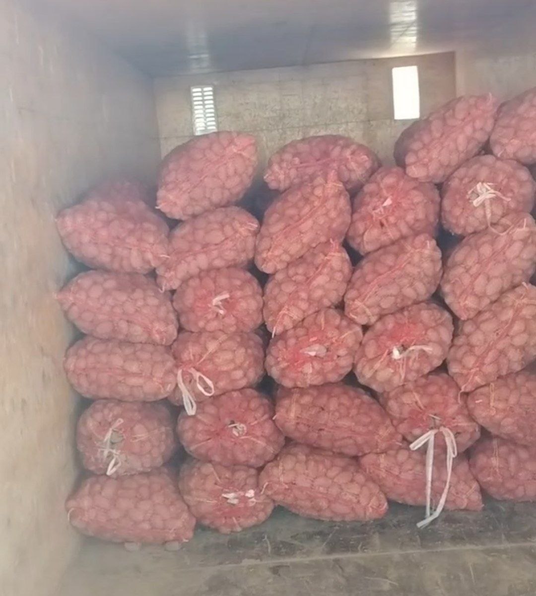 Экишдан ортган Покистон эсма уруг бор 300 кг Жомбойда