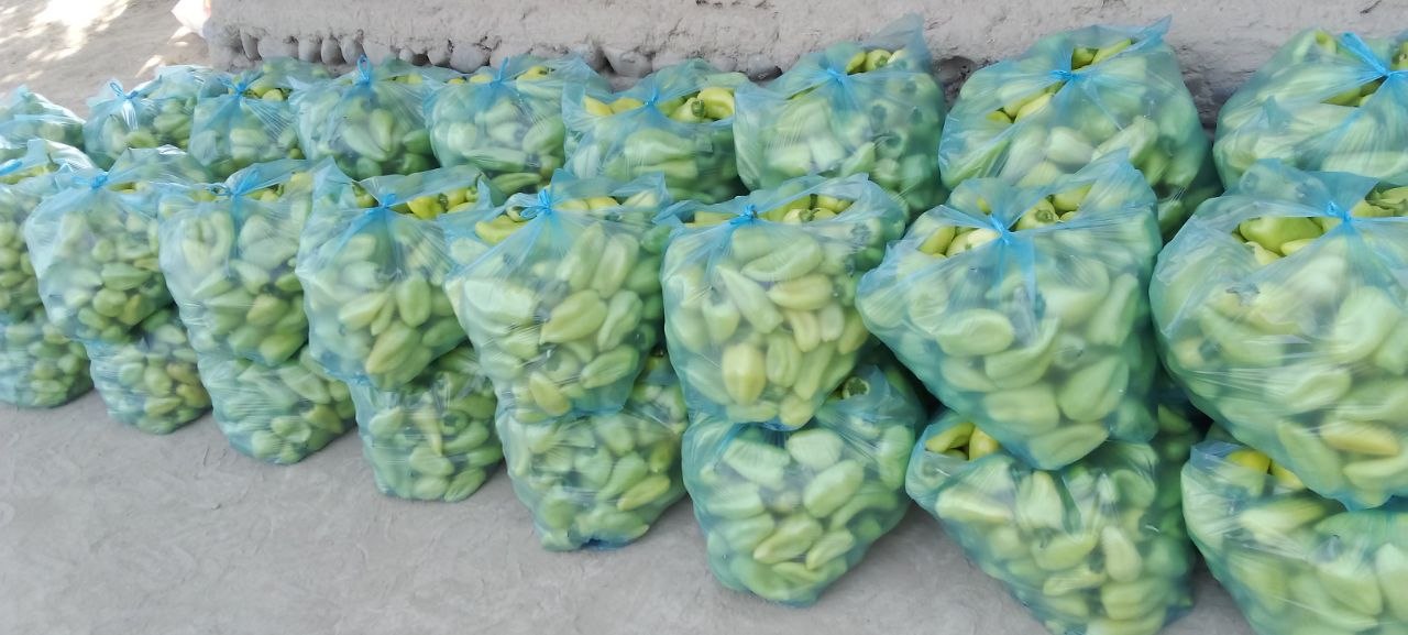 500 kg tayyor yuk — palyut balgar