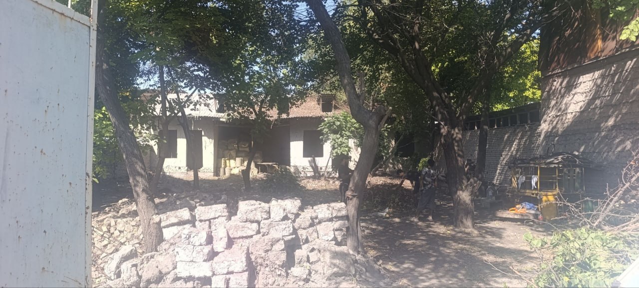 3 xonali hovli — mevali daraxtlar bilan