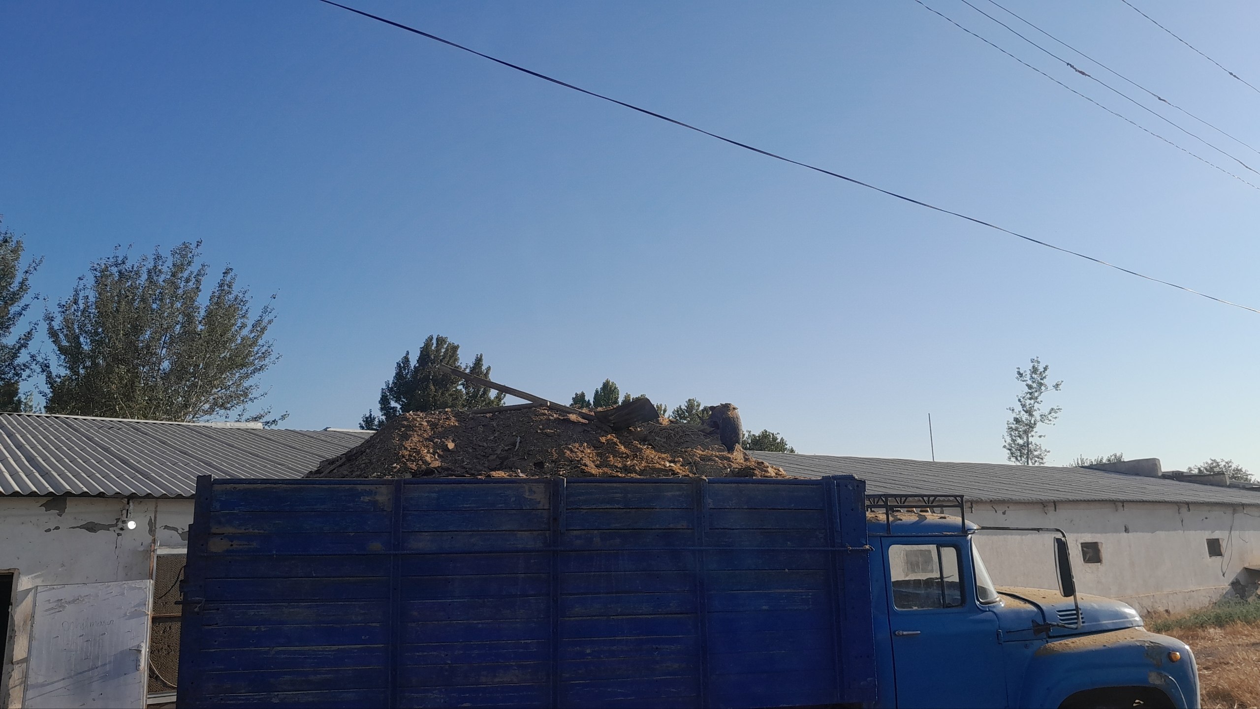 Tovuq gong bor zilda kimga kk bolsa
