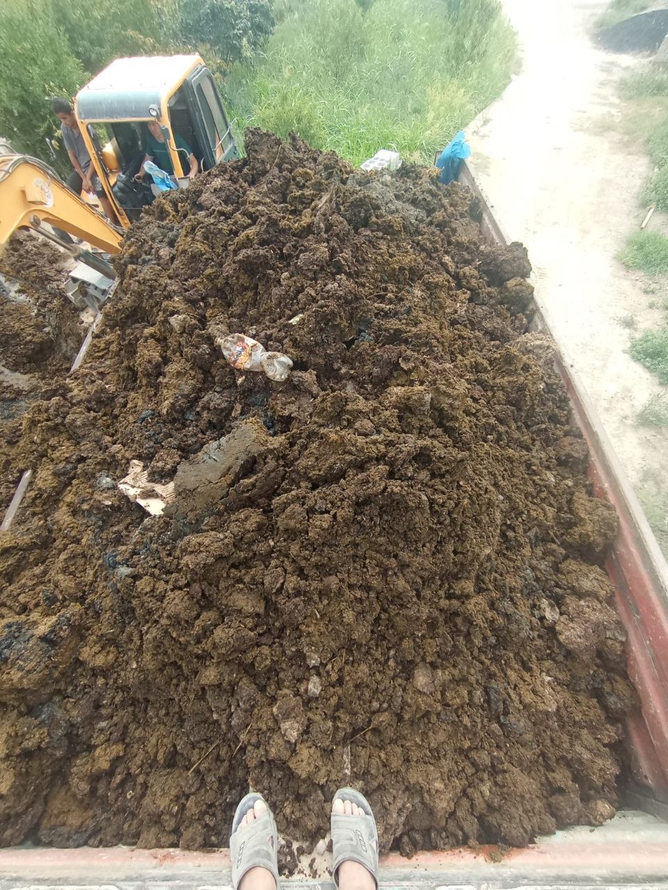 Mol go'ngi bor zilda tozza pachti quruq holda hozirda