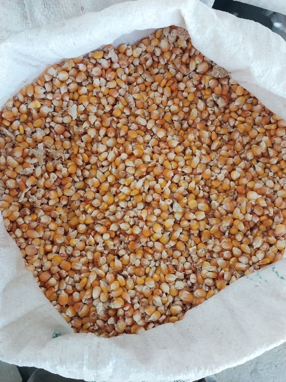MAKKA JOXORI