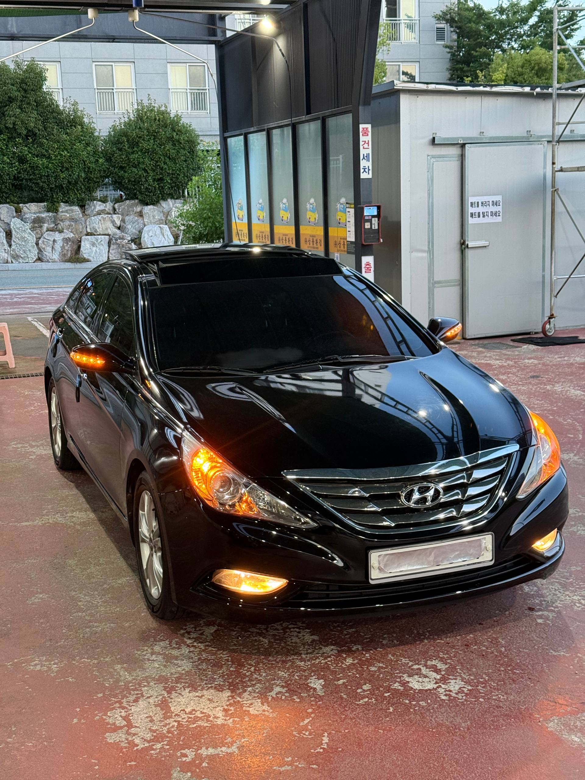 Sonata 2010