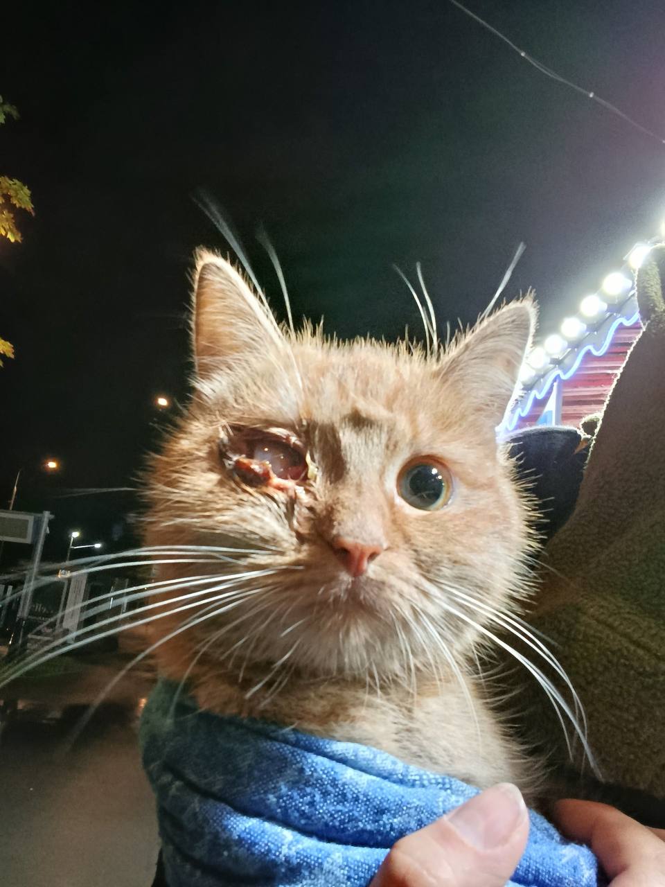 ЮАО Зябликово