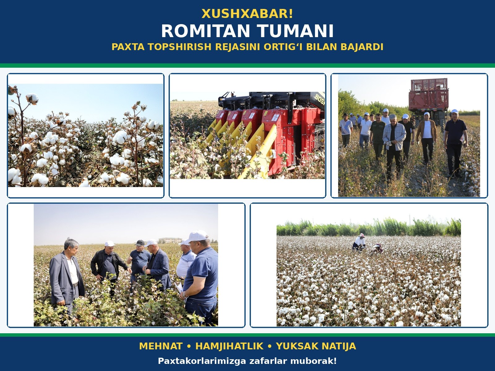 XUSHXABAR Romitan tumani davlatga paxta topshirish