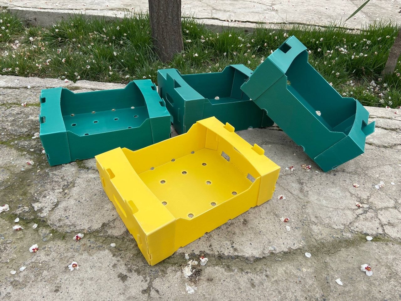 Gofra plastik qutilar — engil va chidamli