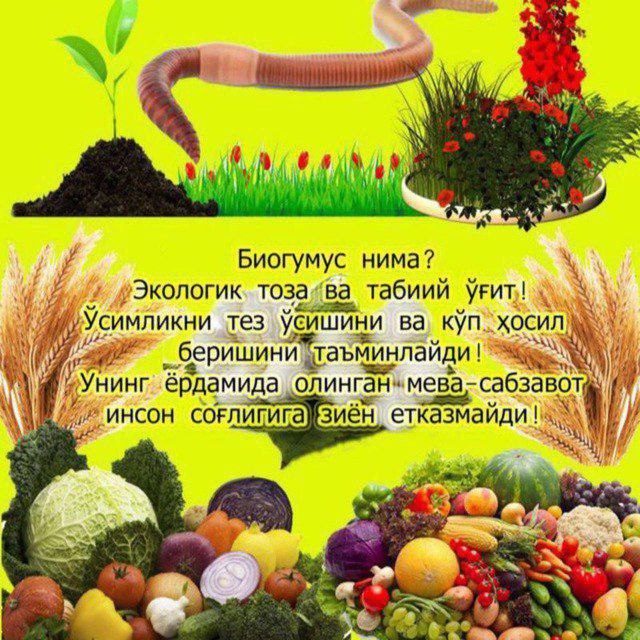 2-BIOGOMUS EKINLARNI SUVSIZLIKDAN HIMOYA QILADI