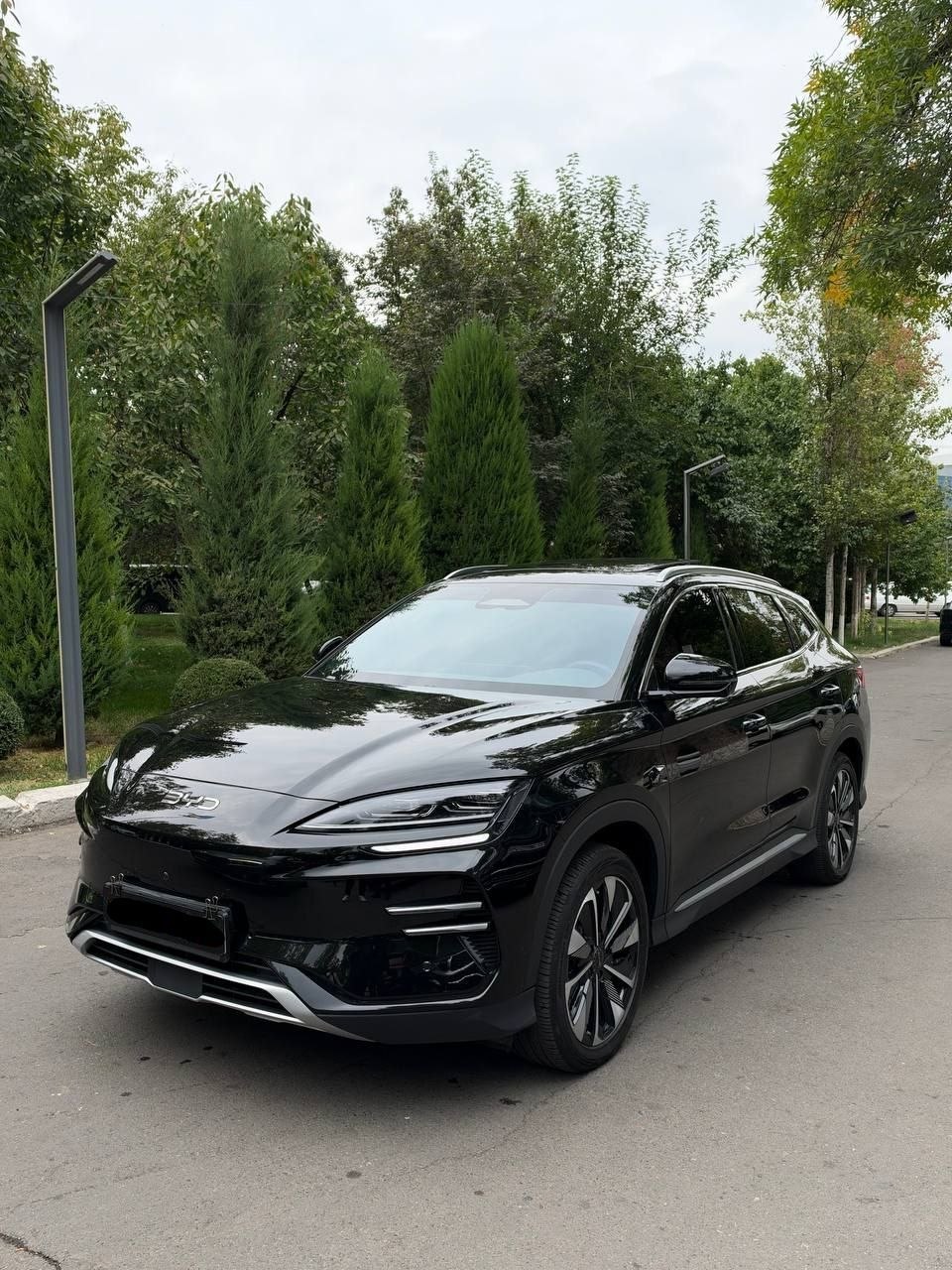 Moshina modeli BYD Song Plus Champion