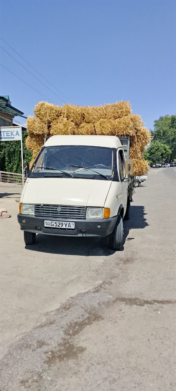Somon bor tel qiloʻrasizlar