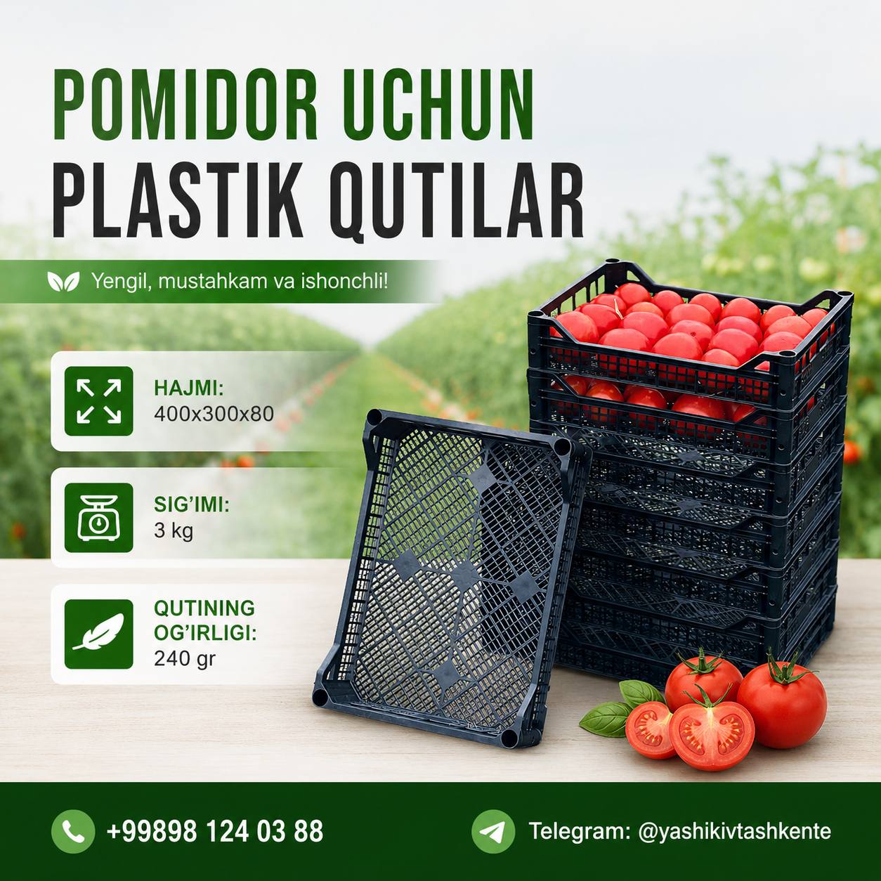Pomidor uchun plastik qutilar