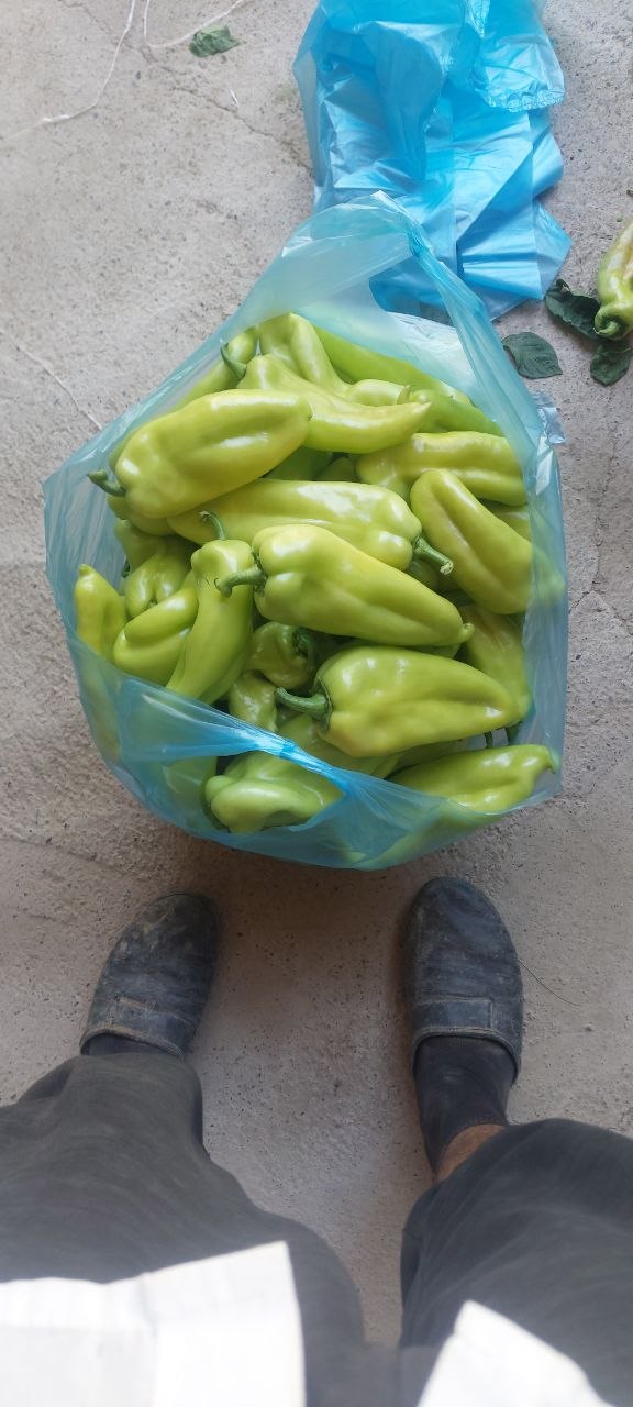 260 kilo tayyor — sifatli mahsulot