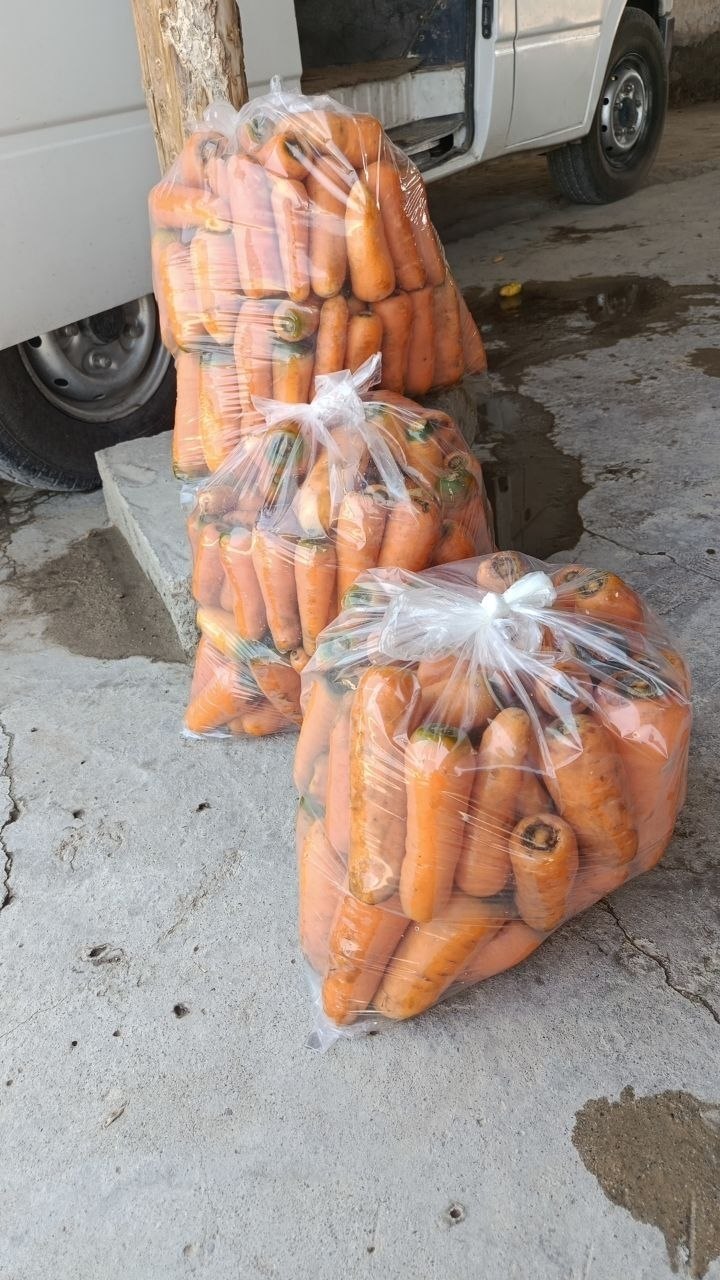 Akalar QASHQADARYO QARSHIDA SARIQ VA QIZIL SABZI BOR