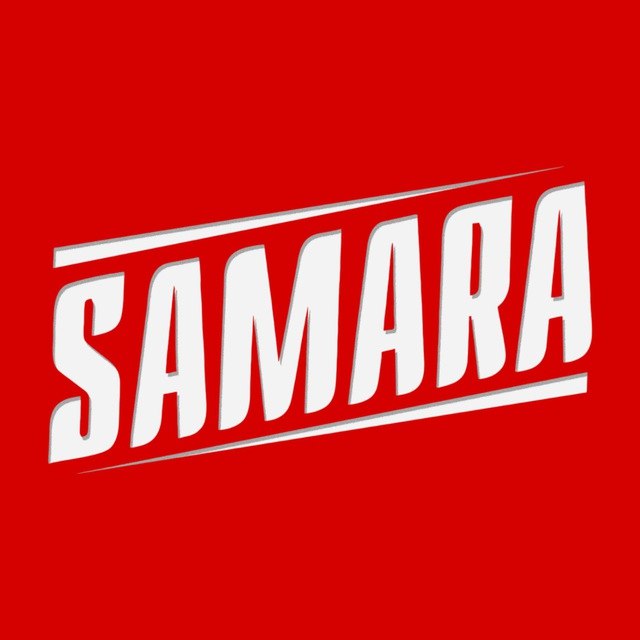 SAMARA SALT GROUP MCHJ